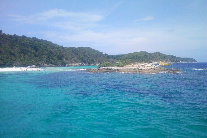 Full-Day Racha Noi and Racha Yai Snorkeling from Phuket - What you’re most likely to see under the surface