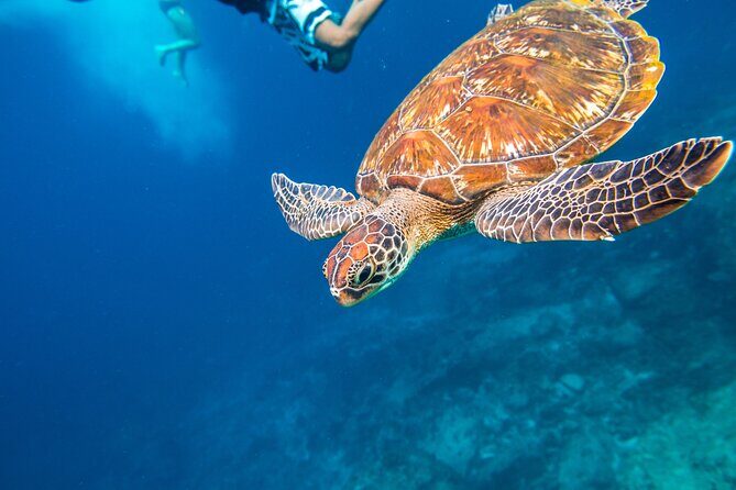 Full-day Tour to the Similan Islands by Speedboat from Khao Lak - Dinner on the Way Back: How the Meal Plan Holds the Whole Day Together