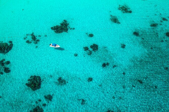 Full-day Tour to the Similan Islands by Speedboat from Khao Lak - Price and Value: What $101.18 Buys You Here