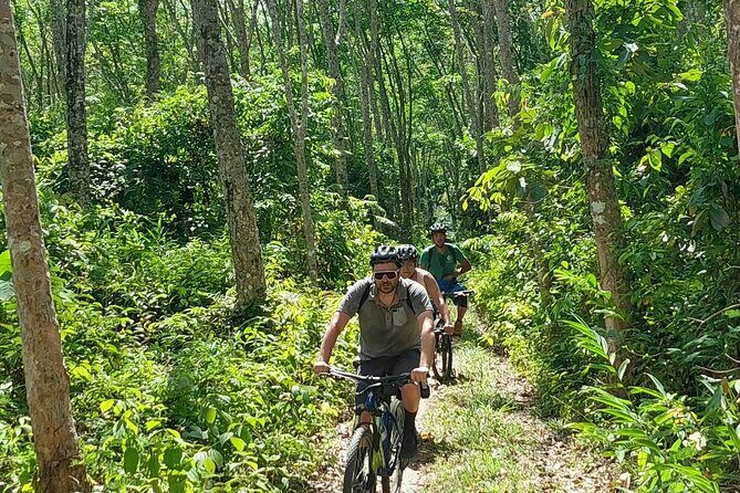 Half-Day Countryside Cycling Small-group Tour in Phuket - Price and Value: What $74.97 Buys You (and Why It Adds Up)