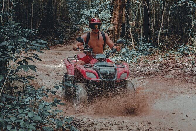 Half Day Phuket City Tour with ATV - Big Bee Farm: Honey-Related Culture Without the Time Sink