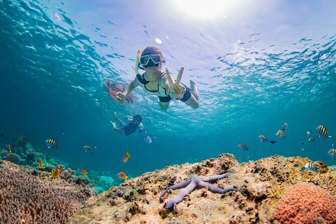 Half day Tropical Coral Island Snorkeling Tour from Phuket - Key Points Worth Knowing