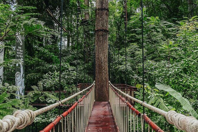 Hanuman World Zipline & Skywalk Phuket - Transfers, timing, and the meeting point puzzle