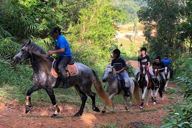 Horseback Riding 1 hour trail - Key Highlights You’ll Care About