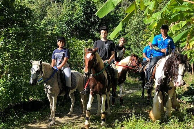 Horseback Riding 1 hour trail - Phuket Countryside on Horseback in 1 Hour