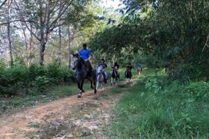 Horseback Riding 1 hour trail - The Trail Through Rubber Plantations and Fruit Orchards