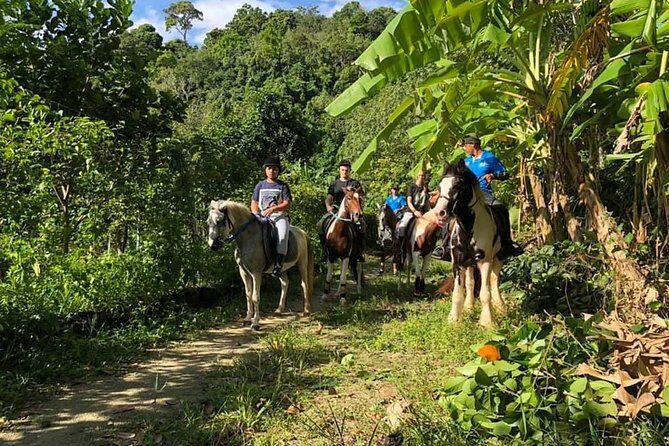Horseback Riding 1 hour trail - Big Buddha Hill Views, Chalong Bay, and the Bang Wad Reservoir/Dam