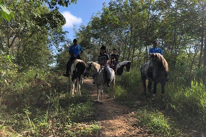 Horseback Riding 1 hour trail - Heat, Timing, and When Weather Changes Your Plans