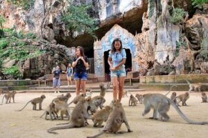 James Bond Island Sightseeing(No Canoeing) Tour by Speedboat from Phuket - Pickup, Timing, and Small Group Size (Less Waiting, More Seeing)