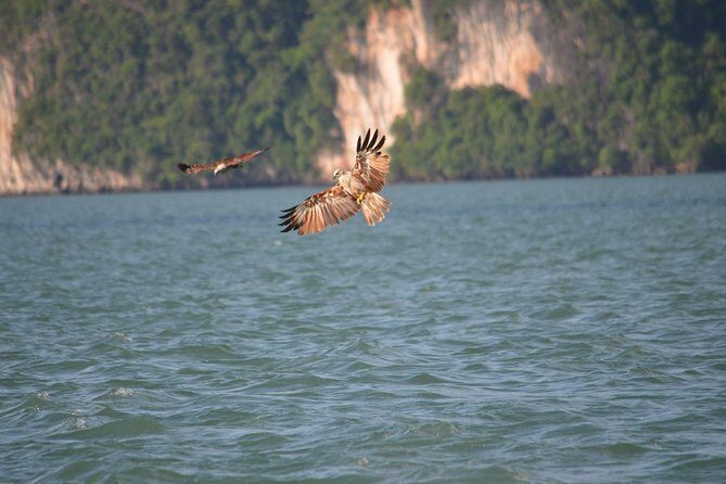 John Gray's Adventure Hong by Starlight in Phang Nga Bay - Hong Island emerald lagoon: sea cave moments and cliff-framed paddling