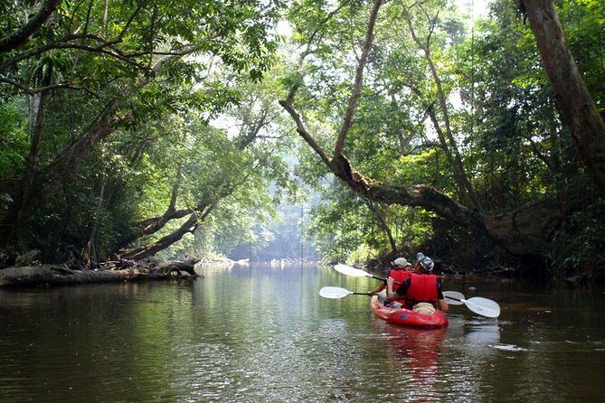 John Gray's Sea Canoe Hong by Starlight Tour - Price vs value: is $138 worth it in Phuket?