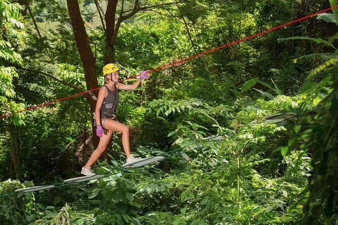 Jungle Xtreme Adventures and Zipline - The Treetop Course: Platforms, Walkways, Nets, Bridges, and Ziplines