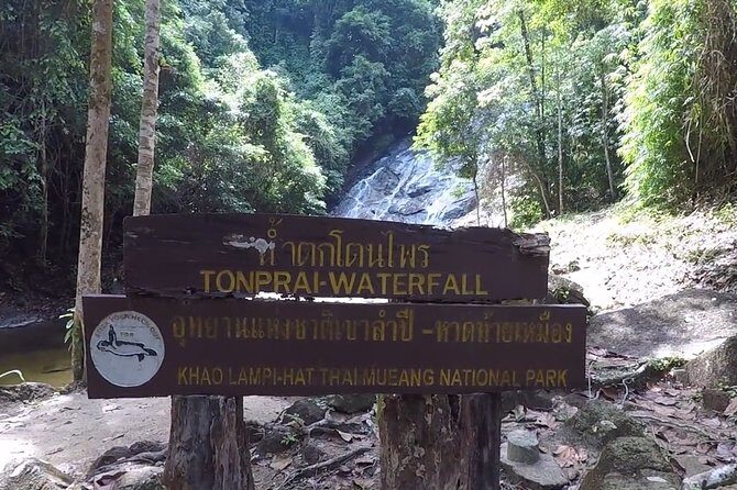 Khao Sok Adventure: Jungle Safari in Thailand’s Oldest Rainforest - Price and Value From Phuket: What You’re Paying For