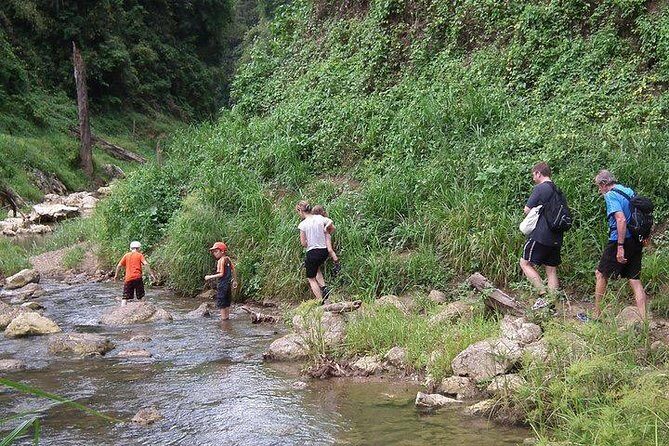 Khao Sok National Park Jungle Safari Full Day Tour from Phuket - The Small-Group Factor: Why 15 People Changes the Day