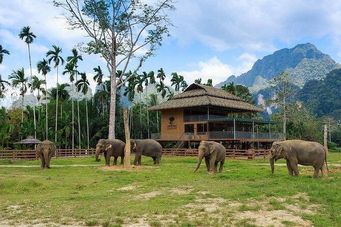 Khao Sok National Park Jungle Safari Full Day Tour from Phuket - Price and Value: Does $243.19 Make Sense?