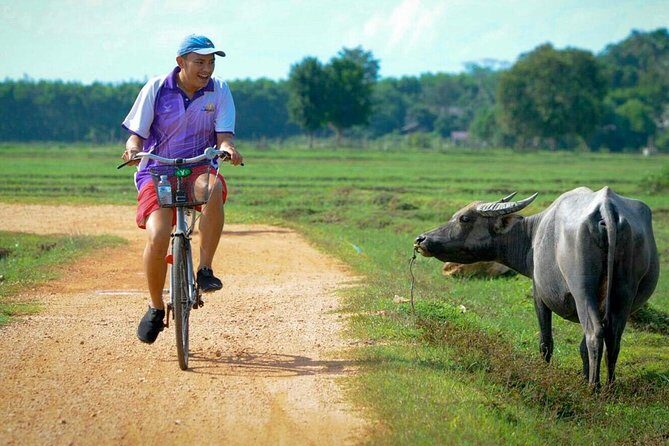 Koh Yao Noi Full Day Tour with Bike Ride & Lunch - Getting there: pickup timing and the speedboat ride
