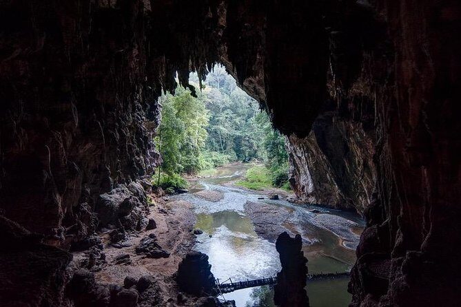 Luxury Speedboat : Day trip to PhiPhi with National Park fee - Viking Cave, Monkey Beach, and photo-from-a-distance reality