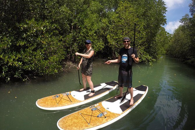 Mangroves SUP Tour Phuket - When You Head Toward Phang Nga Bay