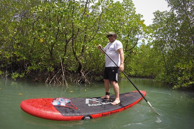 Mangroves SUP Tour Phuket - How Long It Takes and Why the Half-Day Timing Matters