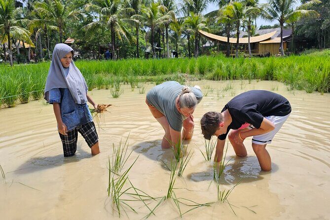 Old Phuket Farm Ticket - Countryside Local Life Culture - Thai house visit: coconut grating and curry paste-making