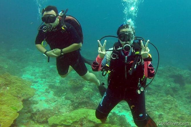 Open water scuba certifiication course with beach dives - Key Highlights Worth Knowing