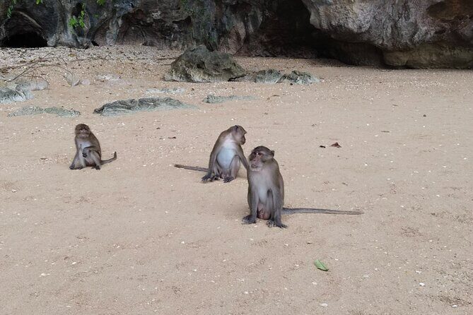 Phang Nga Bay Island Boat Tour By Speedboat By Phuket Sail Tours - Price and Value: Is $142.55 Worth It?