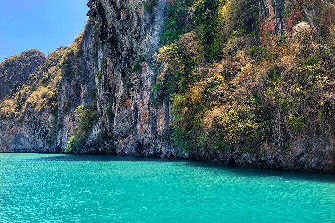 Phang Nga Bay Private Bioluminescence and Sea Canoeing Tour - What’s Included vs Not: A Simple Checklist