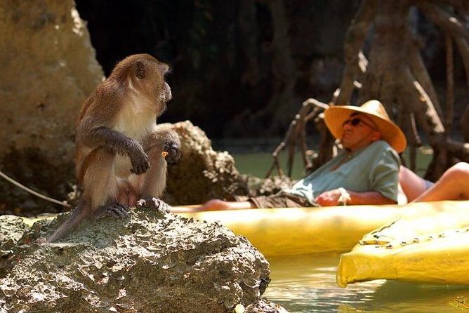 Phang Nga Bay Starlight by John Gray Sea Canoe - Pickup, timing, and what to bring for a smooth day