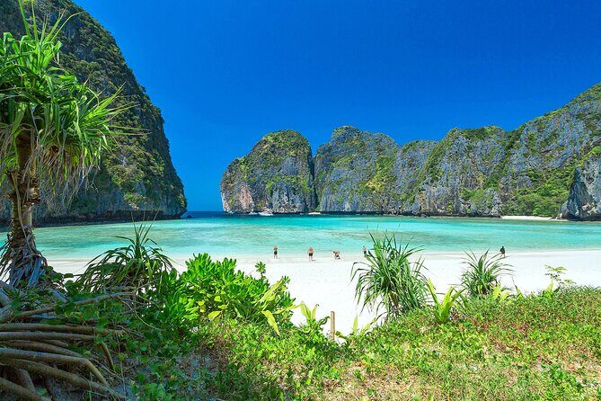 Phi Phi & Bamboo Island Full Day Tour by Premium Speed-Catamaran - Phi Phi Don Snorkeling and Lunch: Where the Day Slows Down