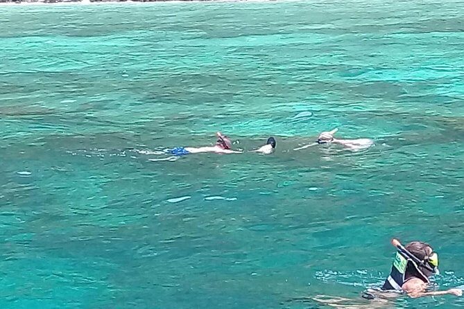 Phi Phi Islands and Khai Island Day Tour from Phuket by Speedboat - Phi Phi Don lunch, a viewpoint break, and Monkey Beach