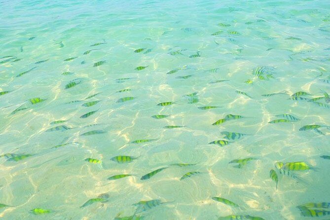 Phi Phi Islands One Day Tour by Speedboat From Phuket - Phi Phi Don and how the day breaks up