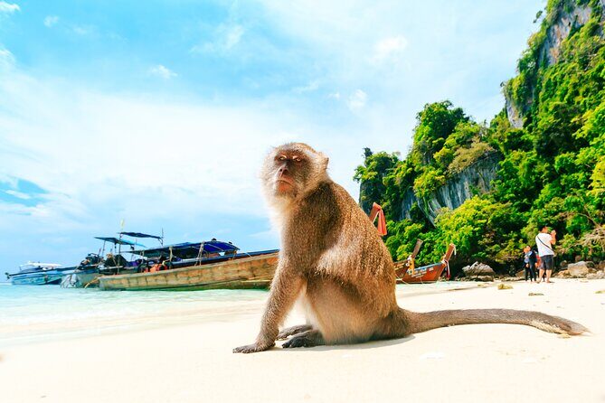 Phi Phi, James Bond & Krabi Overnight - Exclusive 2D1N - Phi Phi Don hotel check-in and the 3-hour nightlife plan