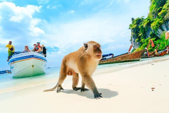 Phi Phi , Khai & Maya : Unforgettable Island Hopping by Speedboat - Khai Nok Island: the second swim hour that matters