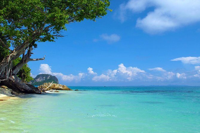 Phi Phi & Maya Bay Speedboat: All-Day Food & Choice of 3 Marinas - Khai Island: the white sand finale for swimming and snorkeling