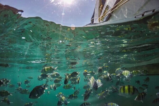 Phi Phi with Maya and Bamboo Island Day Trip by Speedboat - Stop 4: Pileh Bay swim time with limestone cliffs