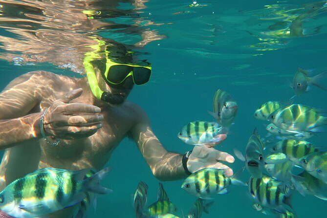 Phuket 3 Khai Island Speedboat With Snorkeling (Half or Full Day) - Speedboat to the Khai Islands: what you really get for the money