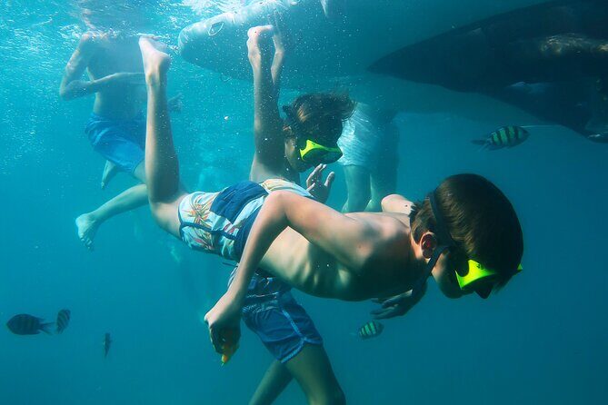 Phuket 3 Khai Island Speedboat With Snorkeling (Half or Full Day) - Lunch and what’s included between swims