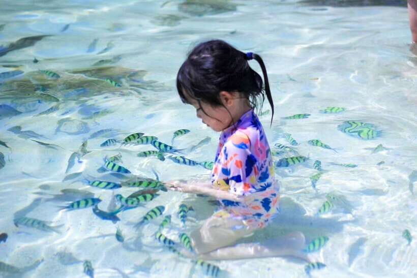 Phuket: 3 Khai Islands Relax & Snorkeling Half/Full Day Tour - Who this tour fits best (and who should skip it)