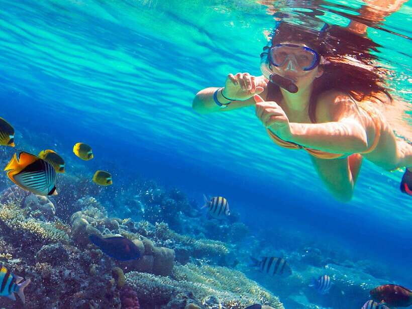 Phuket: 3 Khai Islands Snorkeling Tour - Khai Nai (Cat Island): Cats, Shade, and an Easy First Stop