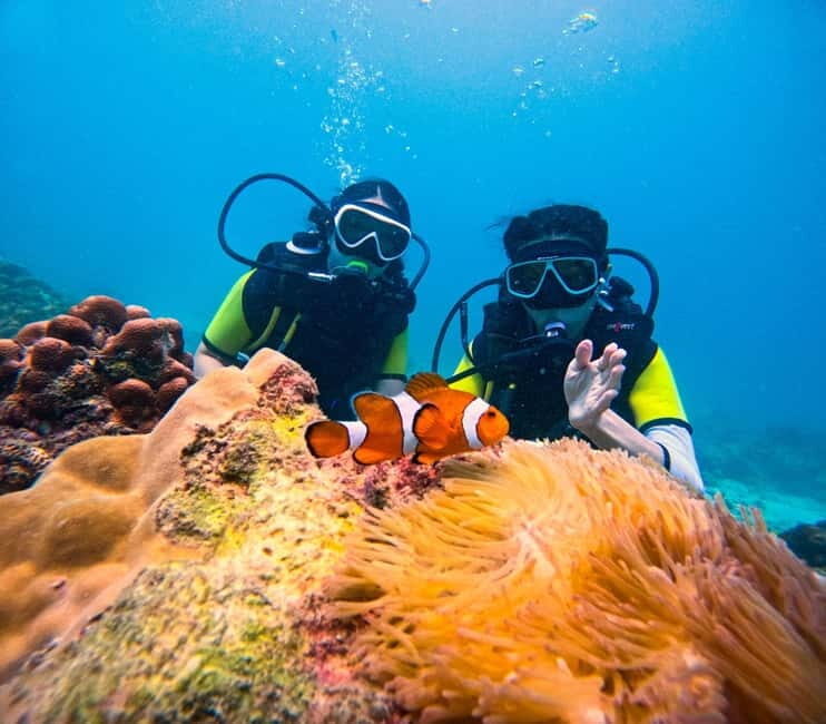 Phuket: 3 Khai Islands Speedboat Tour- Snorkeling & Relaxing - Key takeaways before you go
