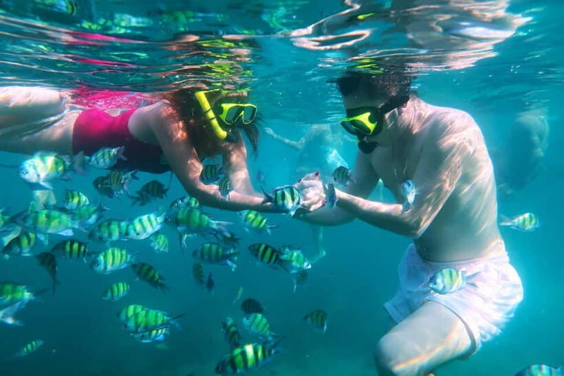 Phuket: 3 Khai Islands Speedboat Tour- Snorkeling & Relaxing - Marine life expectations: fish, corals, and possible sea turtles