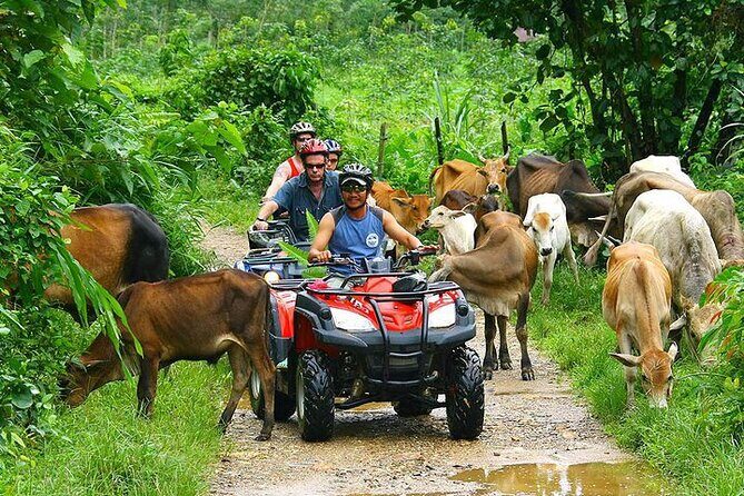 Phuket ATV Seaview On Tour - The Andaman Sea seaview moments: when to expect the best photos