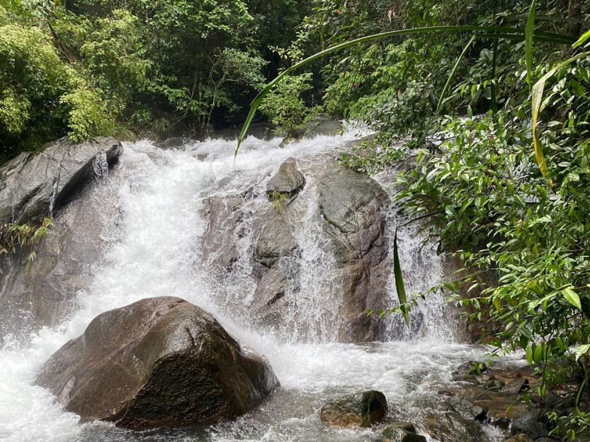 Phuket: Bamboo Rafting, Monkey Cave, and ATV Option - “Elephant optional” and the ethics question you should ask upfront