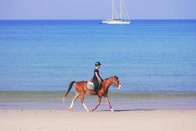 Phuket Beach and Horse Rides 1 Hour Experience - Why a 1-hour Phuket beach ride actually works