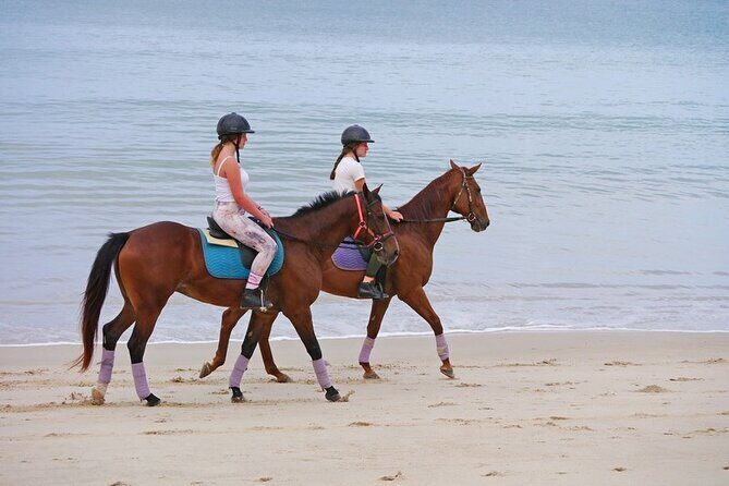 Phuket Beach and Horse Rides 1 Hour Experience - From stable to sandy shore: what the ride looks and feels like
