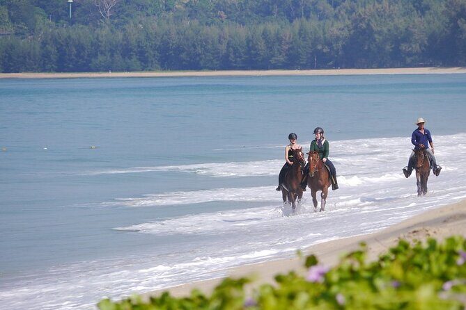 Phuket Beach and Horse Rides 1 Hour Experience - Riding rules that keep it fun (and what you’re not allowed to do)