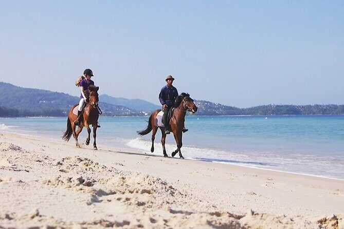 Phuket Beach and Horse Rides 1 Hour Experience - Timing and weather: when you’ll enjoy Phuket beach riding most