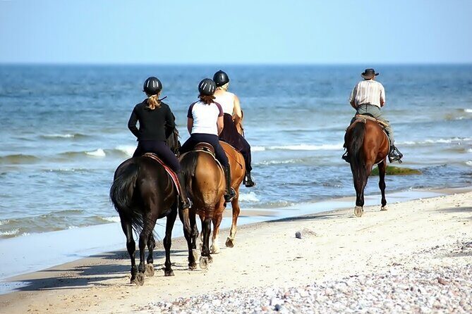 Phuket Beach and Horse Rides 1 Hour Experience - Should you book Phuket Beach and Horse Rides?