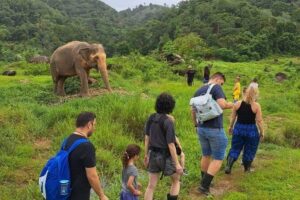 Phuket City Tour & Elephant Sanctuary – Town, Temple, Food & View - Apong Konyo Samkong: The Snack Stop That Sets the Tone