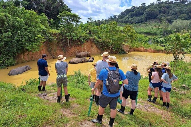 Phuket City Tour & Elephant Sanctuary – Town, Temple, Food & View - Wat Chalong: Temple Time With Optional Little Rituals